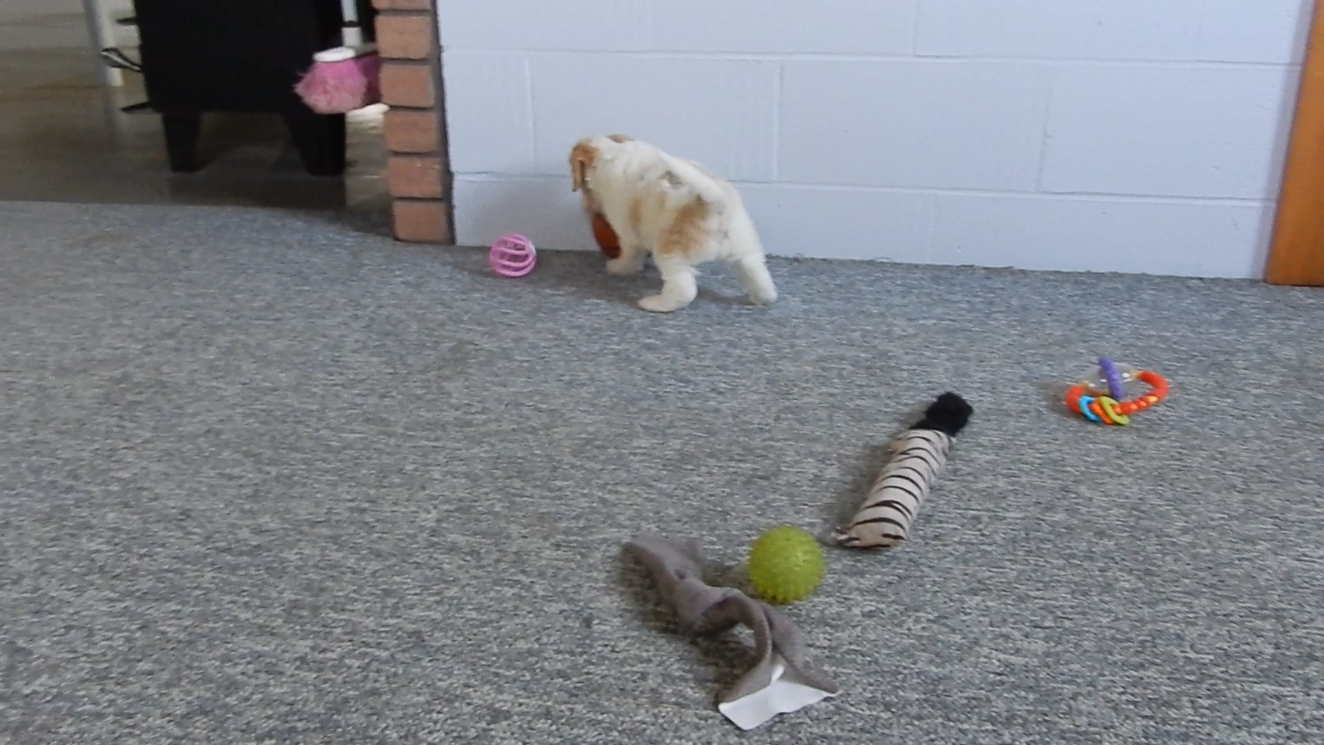 04_2002848414-feeb07c68c18c92d90d4a620529c14a4e5973d092dffe1162a4b15483efd2db6-d