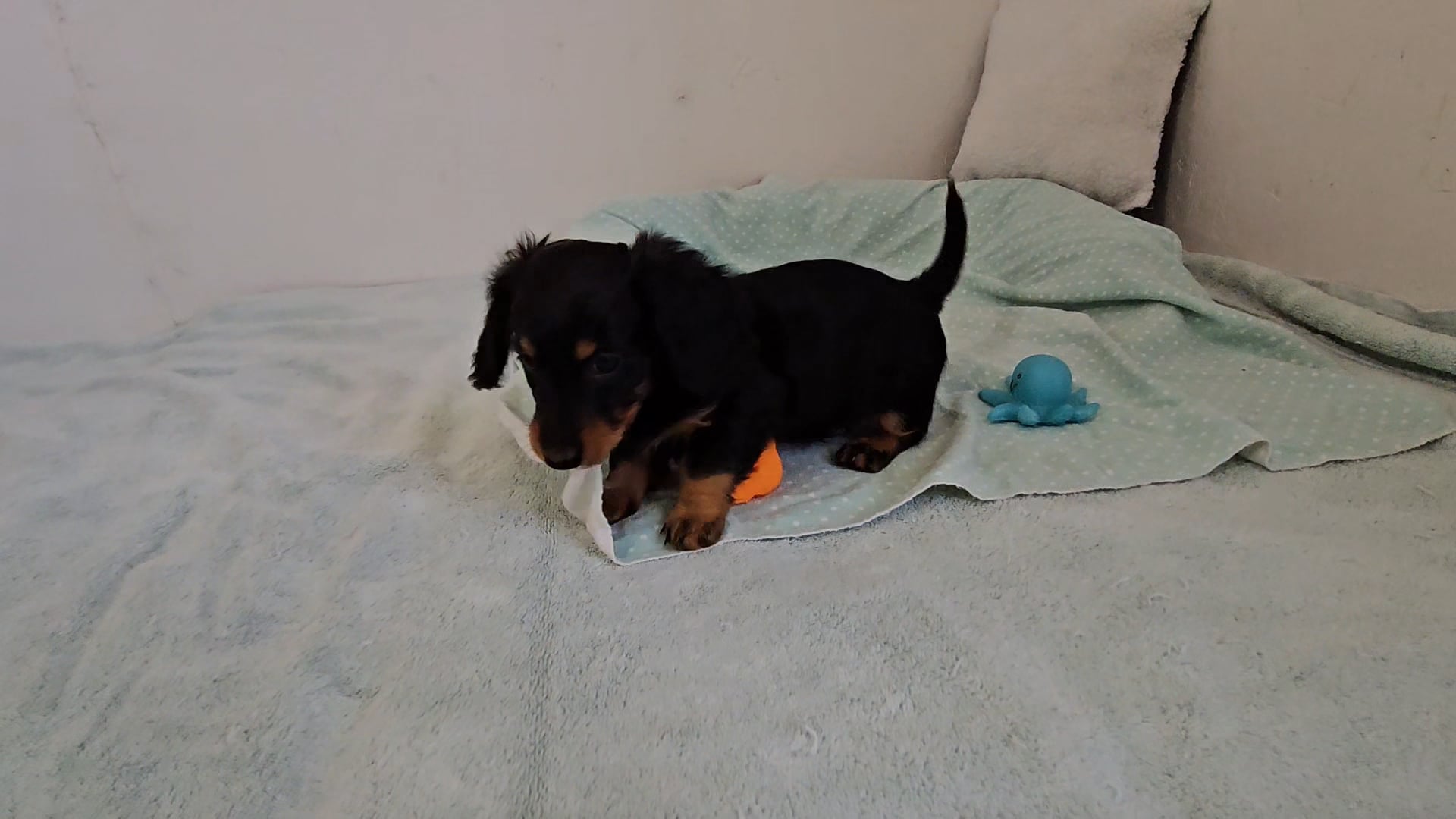 04_2002924494-e86e9ce8b17cddbb4953a61eb72106d61a44e7b8d4831b2c8dd8bcd042ffc0c7-d