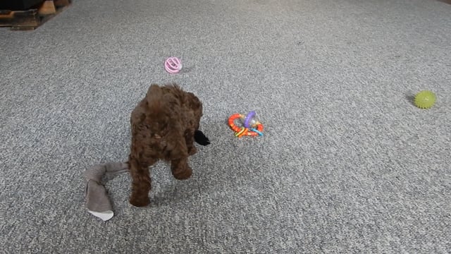 05_2002846897-4e1619dcfb78506f149e84d84c946154e0f40244e2b348b5a552e16798ce11bf-d