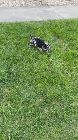 13_2002975581-a8a617dd1cc6bc4697175987d72135f4327e1b6bc259084dafc6ddc369dcfbb0-d