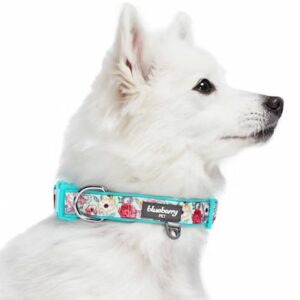 Blueberry Pet Soft & Comfy Padded Floral Dog Collar