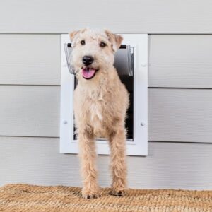 PetSafe Wall Entry Plastic Pet Door
