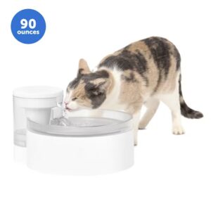 PetSafe Outlast Pumpless Water Fountain for Pets