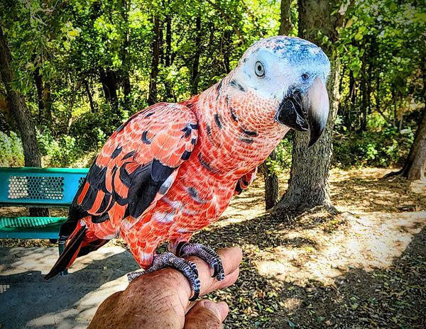 461508271_2596348530753250_6427528870651773759_n