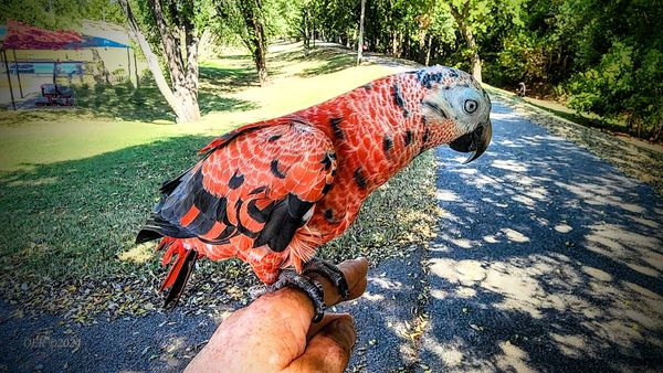 461560020_2596348570753246_7769856448139504644_n