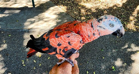 461629231_2596348447419925_1478924713663648470_n