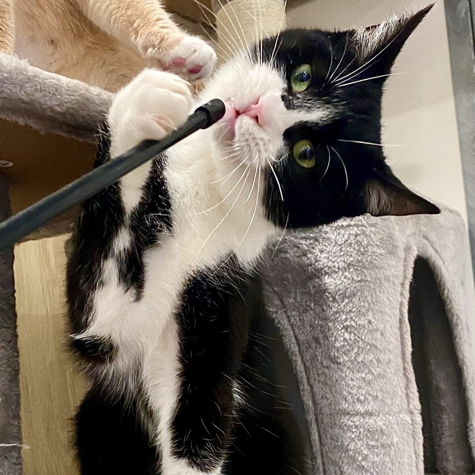 IMG_4955-edited-1536x1536