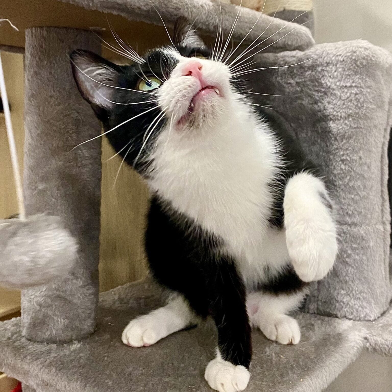 IMG_4959-edited-1536x1536