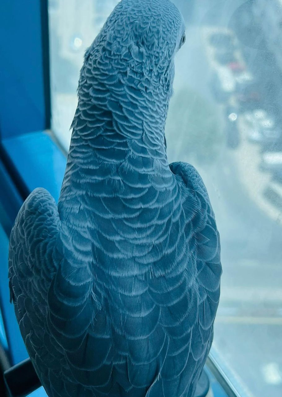 WhatsApp-Image-2024-09-29-at-18.19.14-1