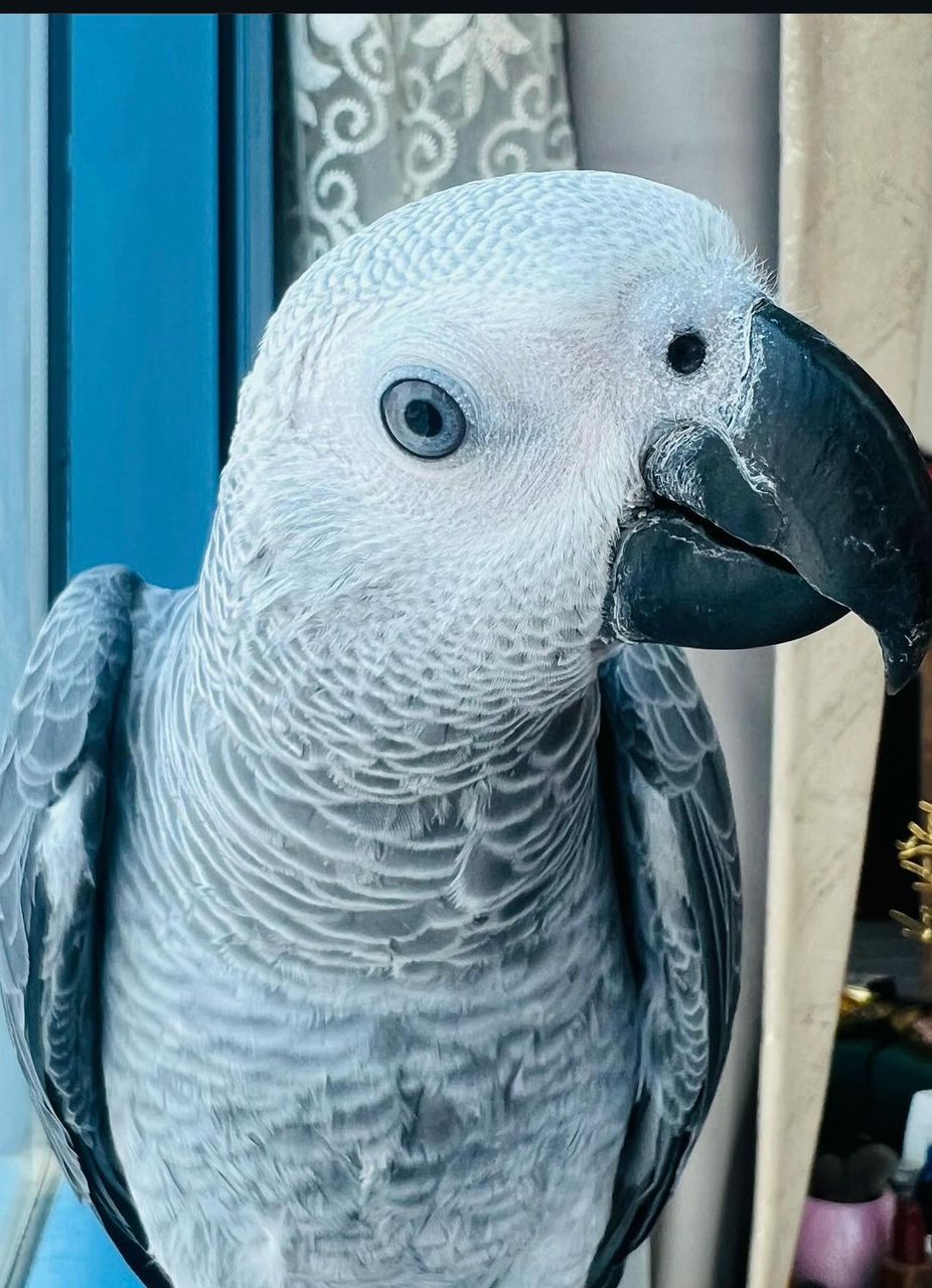 WhatsApp-Image-2024-09-29-at-18.19.14-2