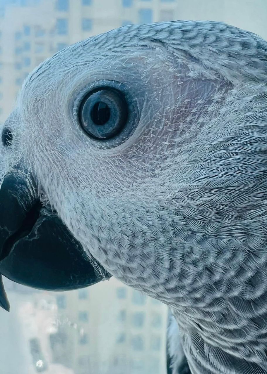 WhatsApp-Image-2024-09-29-at-18.19.14