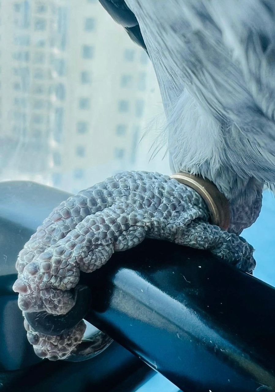 WhatsApp-Image-2024-09-29-at-18.19.15-3