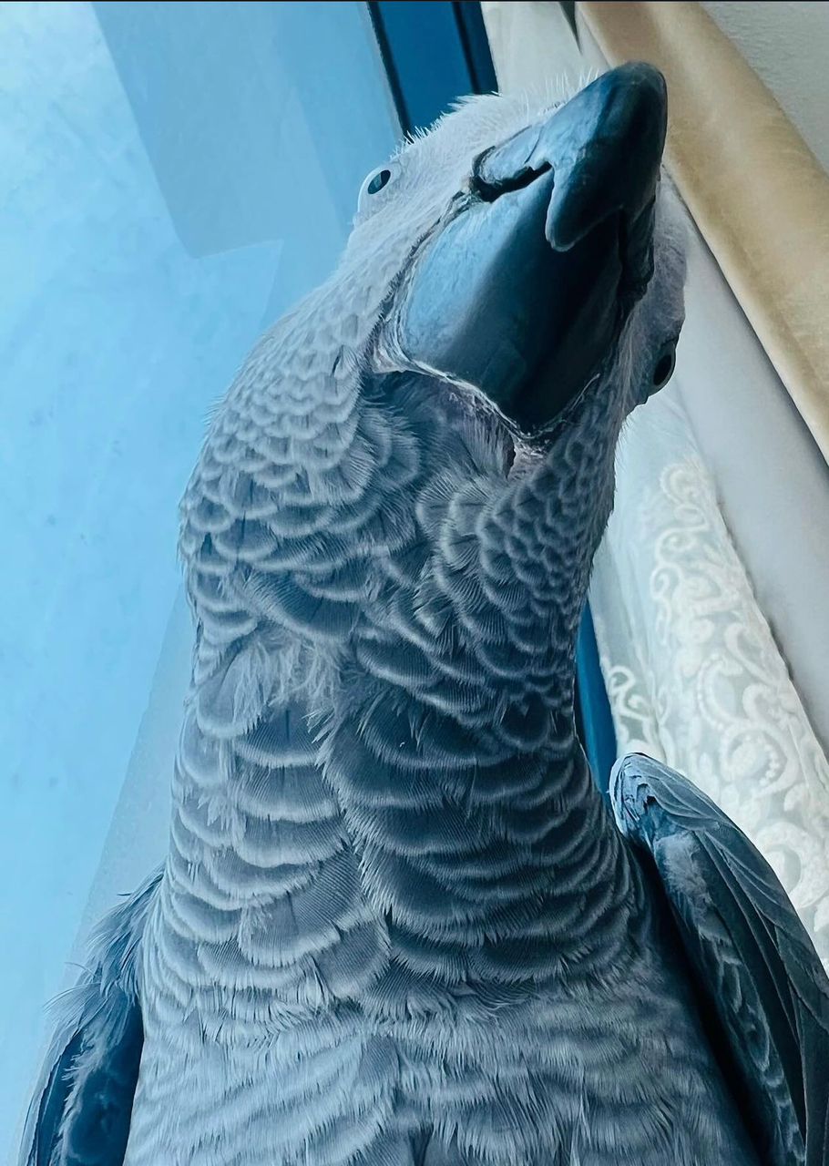 WhatsApp-Image-2024-09-29-at-18.19.15