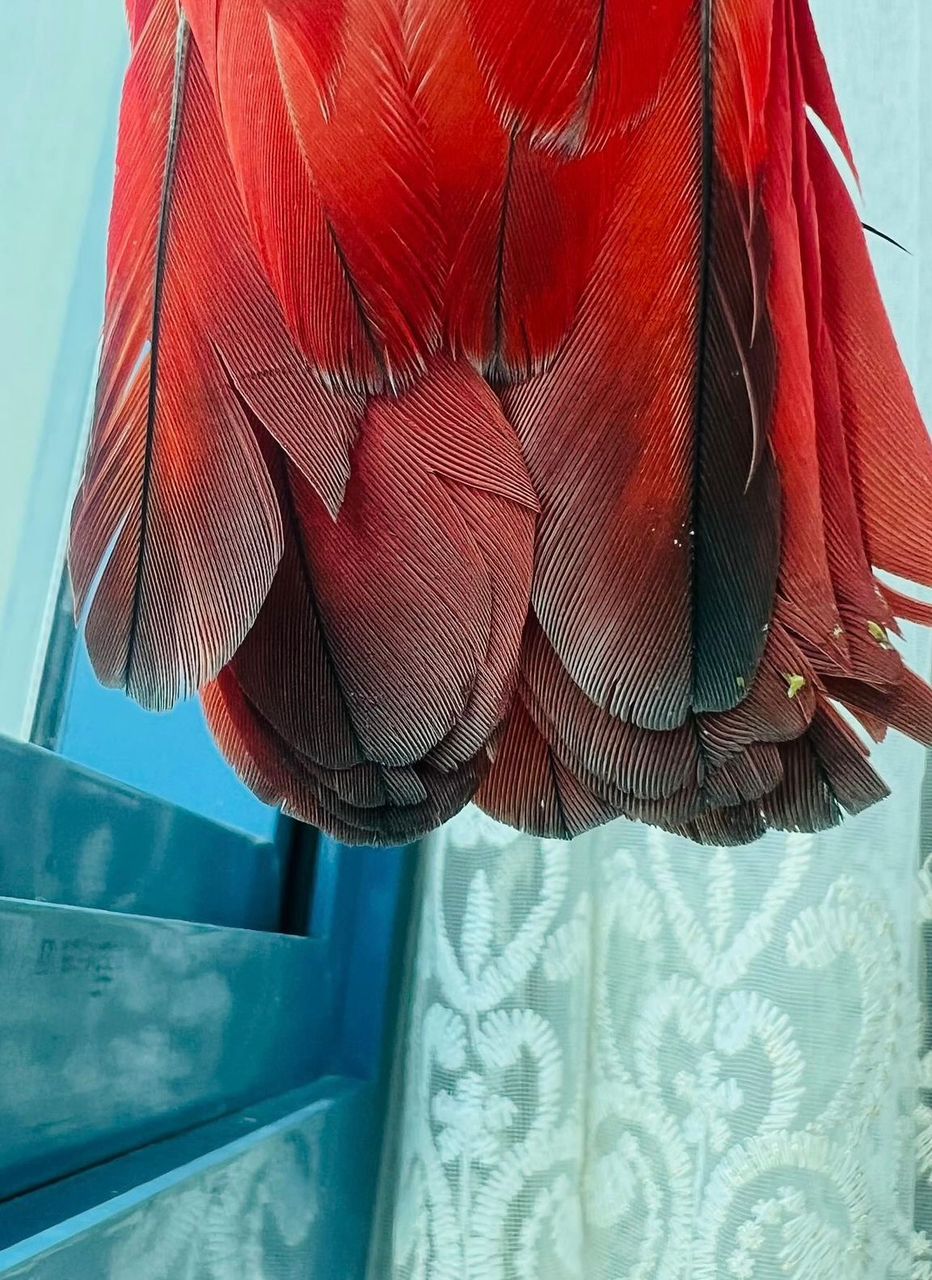 WhatsApp-Image-2024-09-29-at-18.19.16