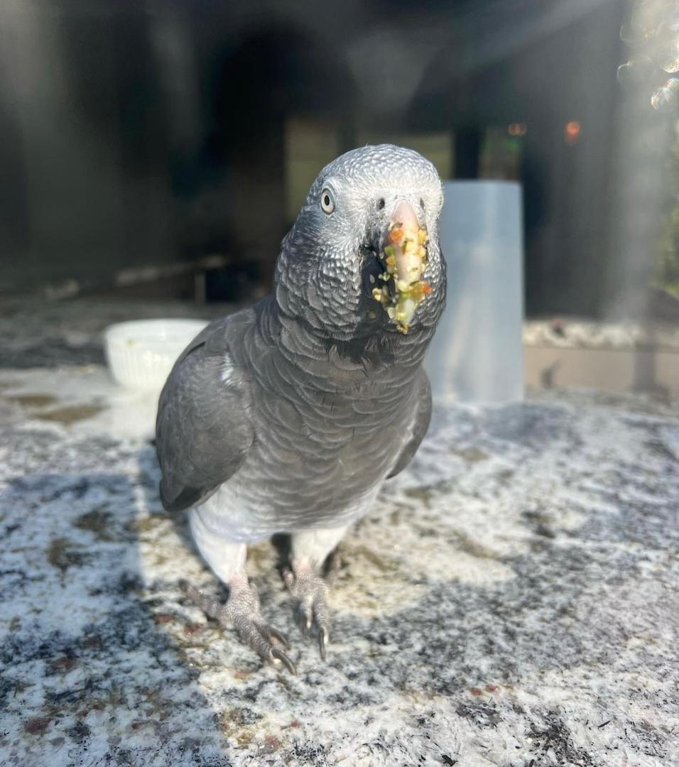 WhatsApp-Image-2024-09-30-at-06.44.18-3