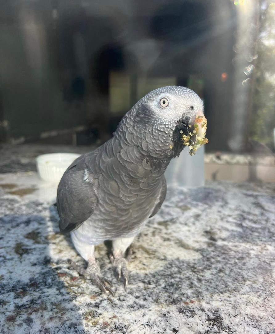 WhatsApp-Image-2024-09-30-at-06.44.19-1