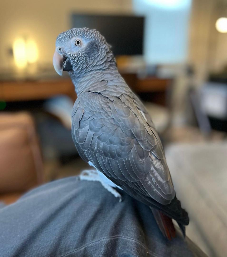 WhatsApp-Image-2024-09-30-at-06.44.19-2