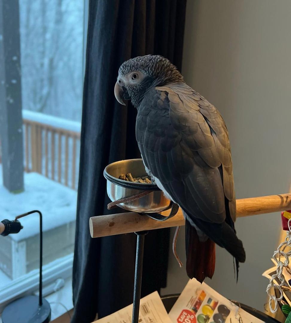 WhatsApp-Image-2024-09-30-at-06.44.19-3