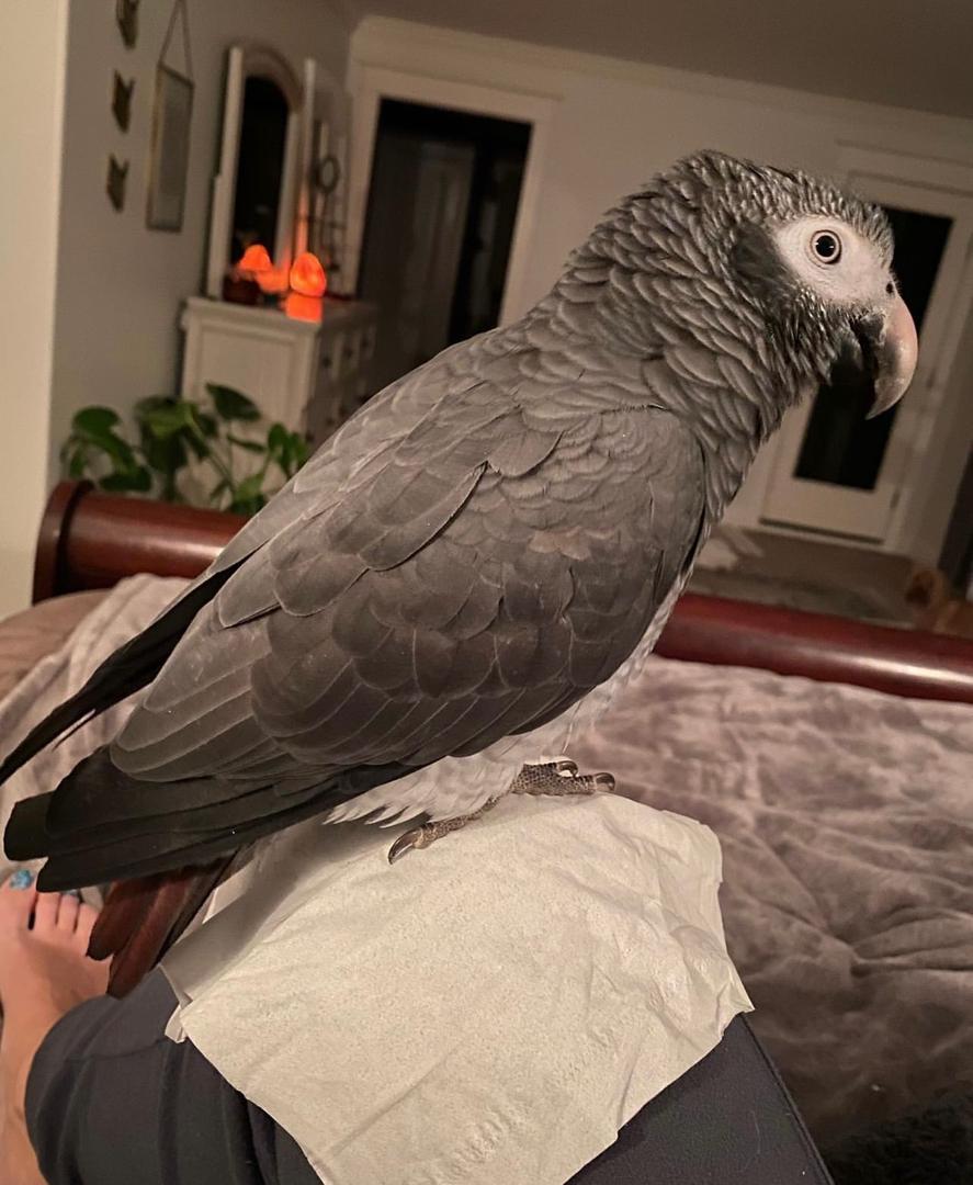 WhatsApp-Image-2024-09-30-at-06.44.19-4