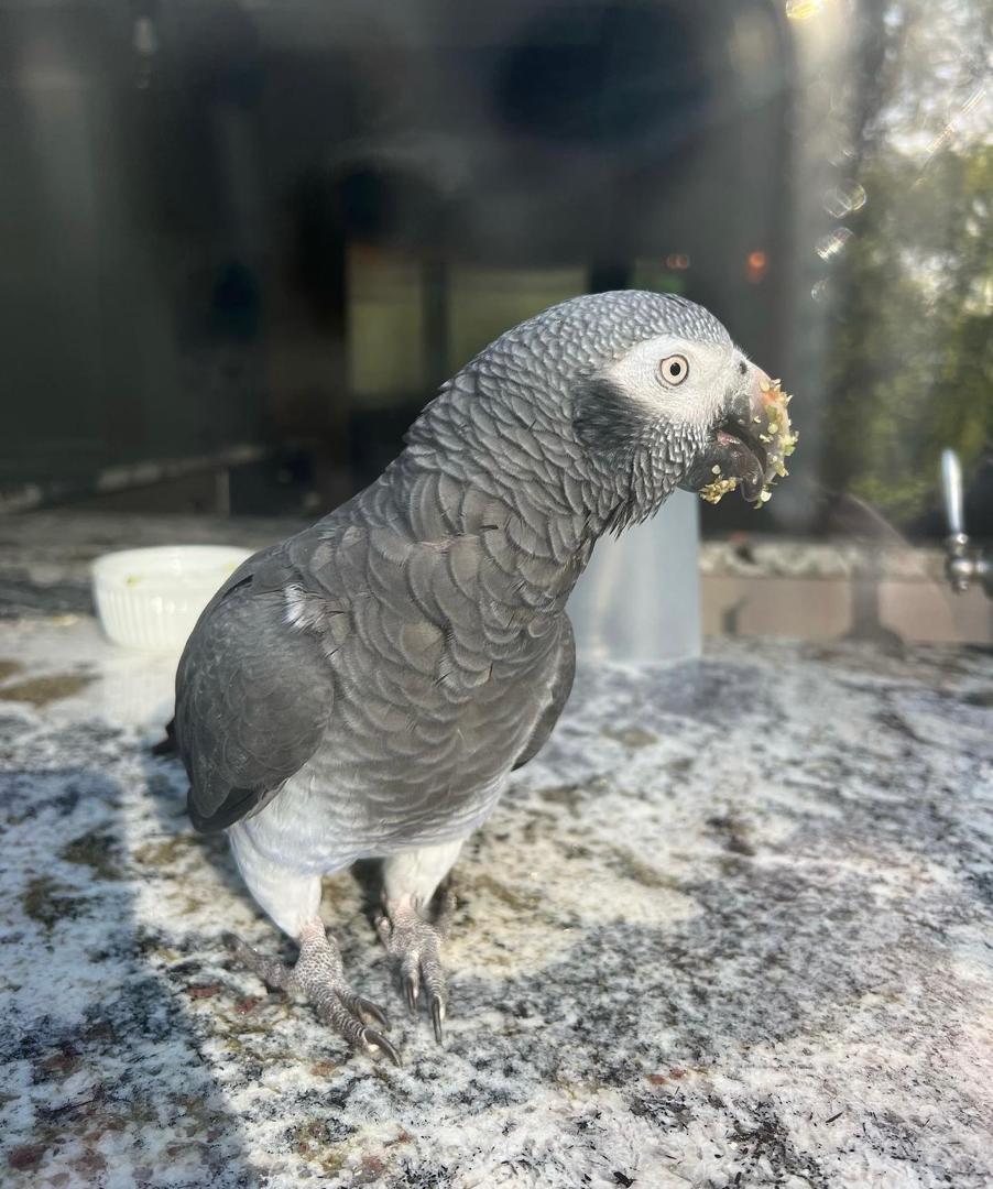 WhatsApp-Image-2024-09-30-at-06.44.19